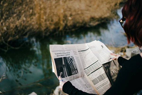 Classement des sites économiques pour acheter du chanvre en 2025